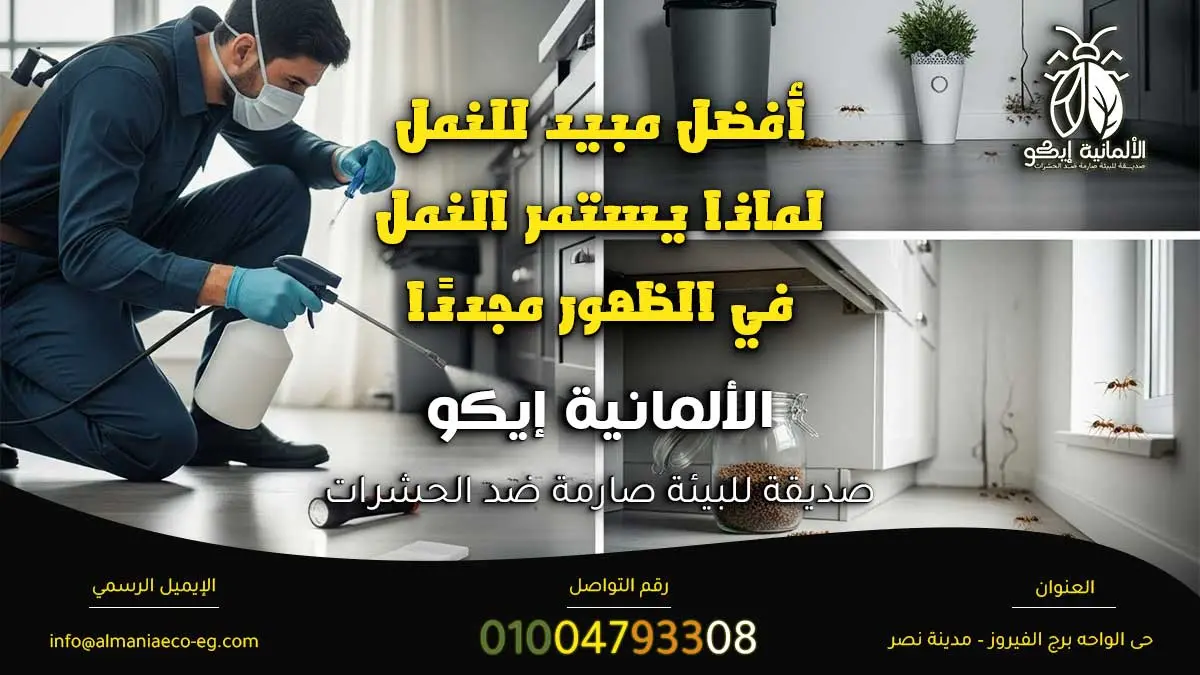 أفضل مبيد للنمل