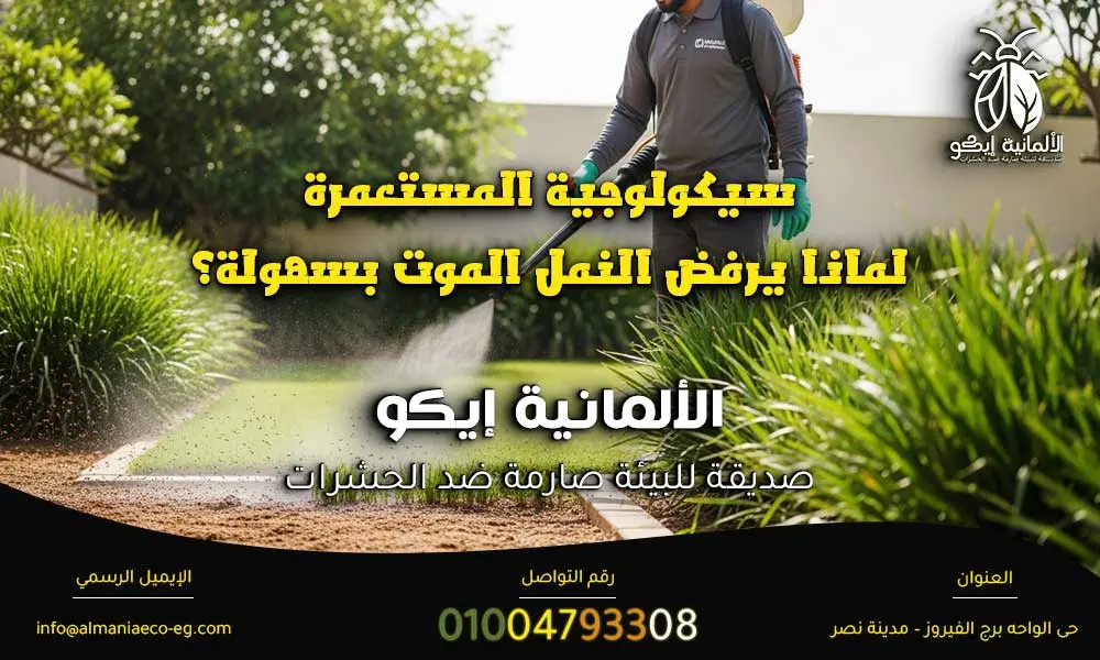 أفضل مبيد للنمل