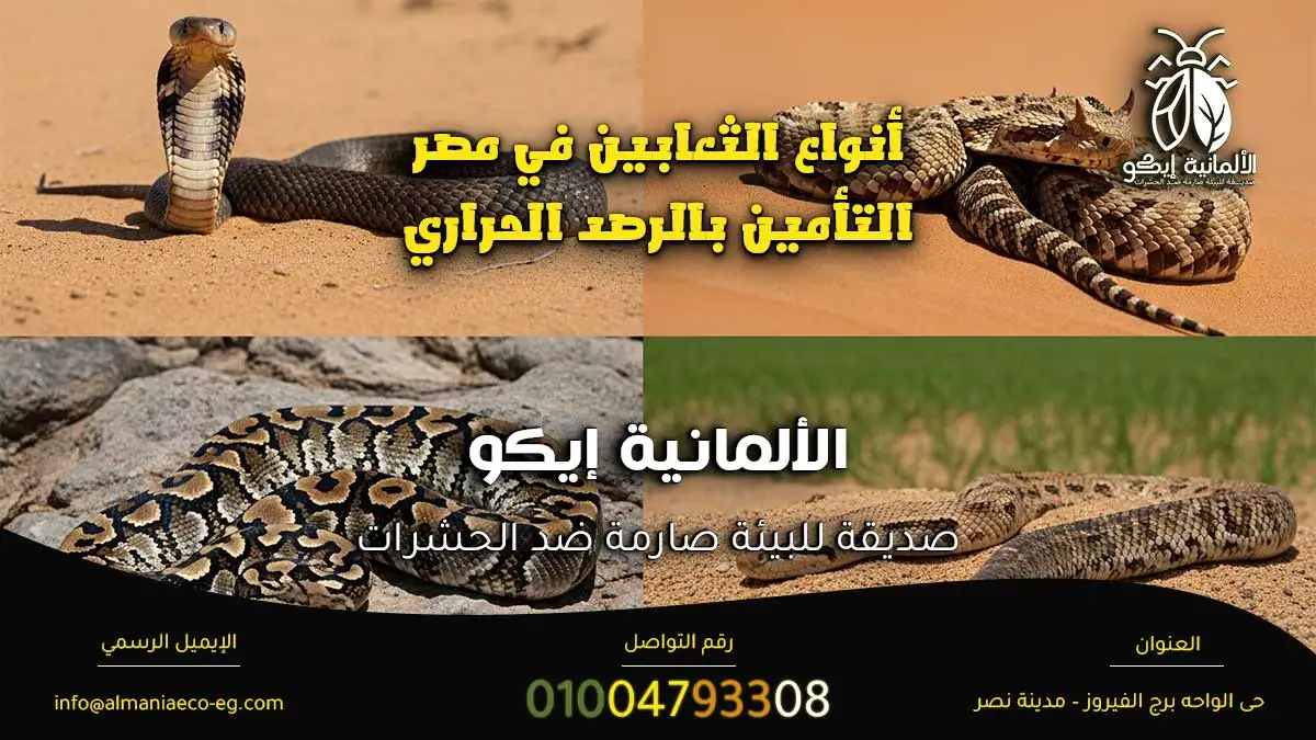 أنواع الثعابين في مصر