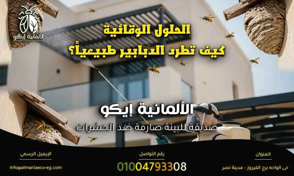 التخلص من الدبابير