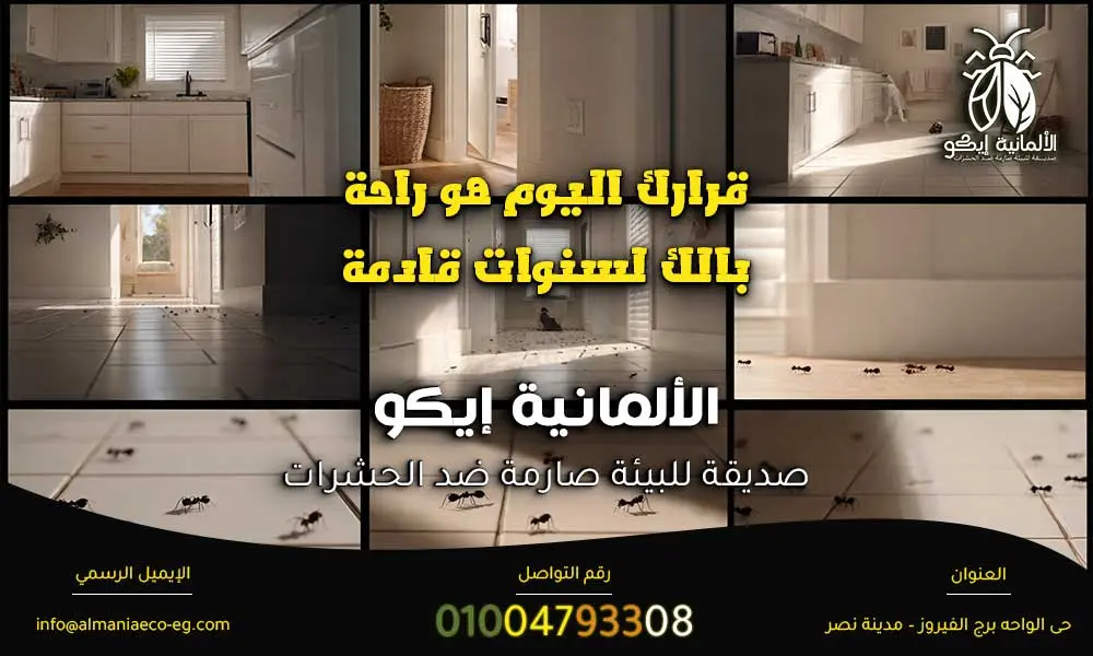 النمل في المطبخ