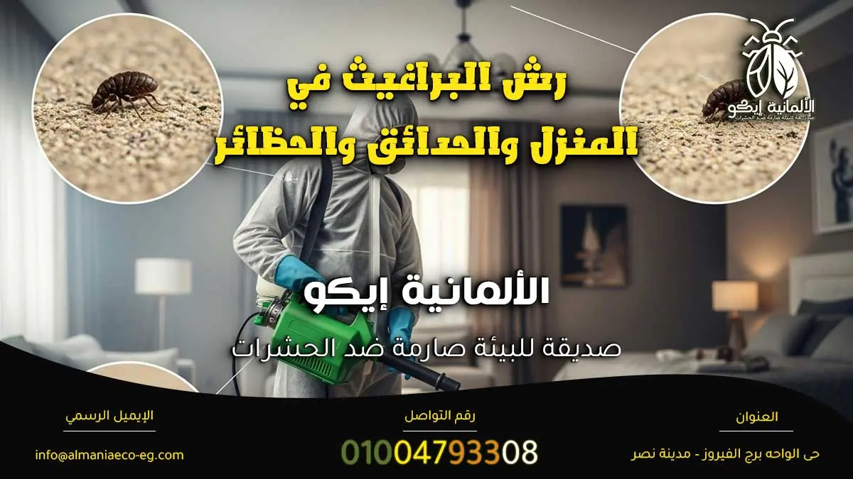 رش البراغيث