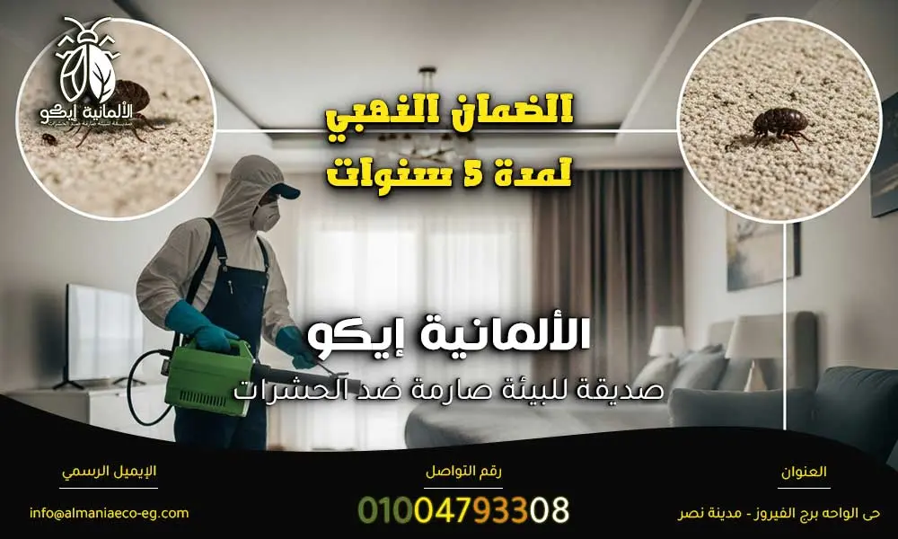 رش البراغيث