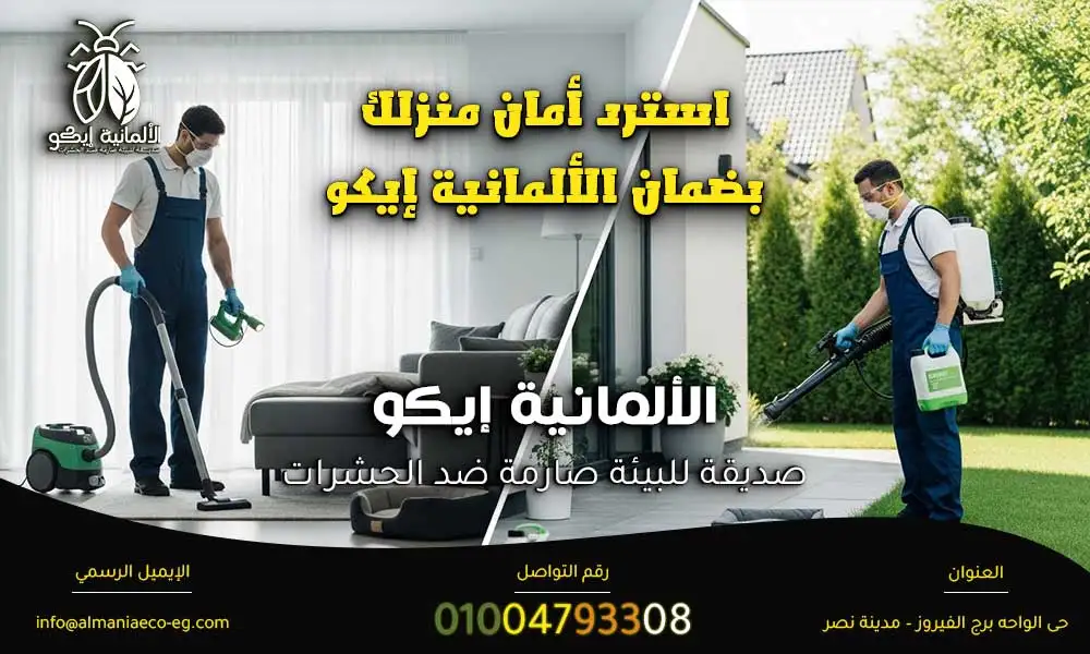 رش المنزل من البراغيث