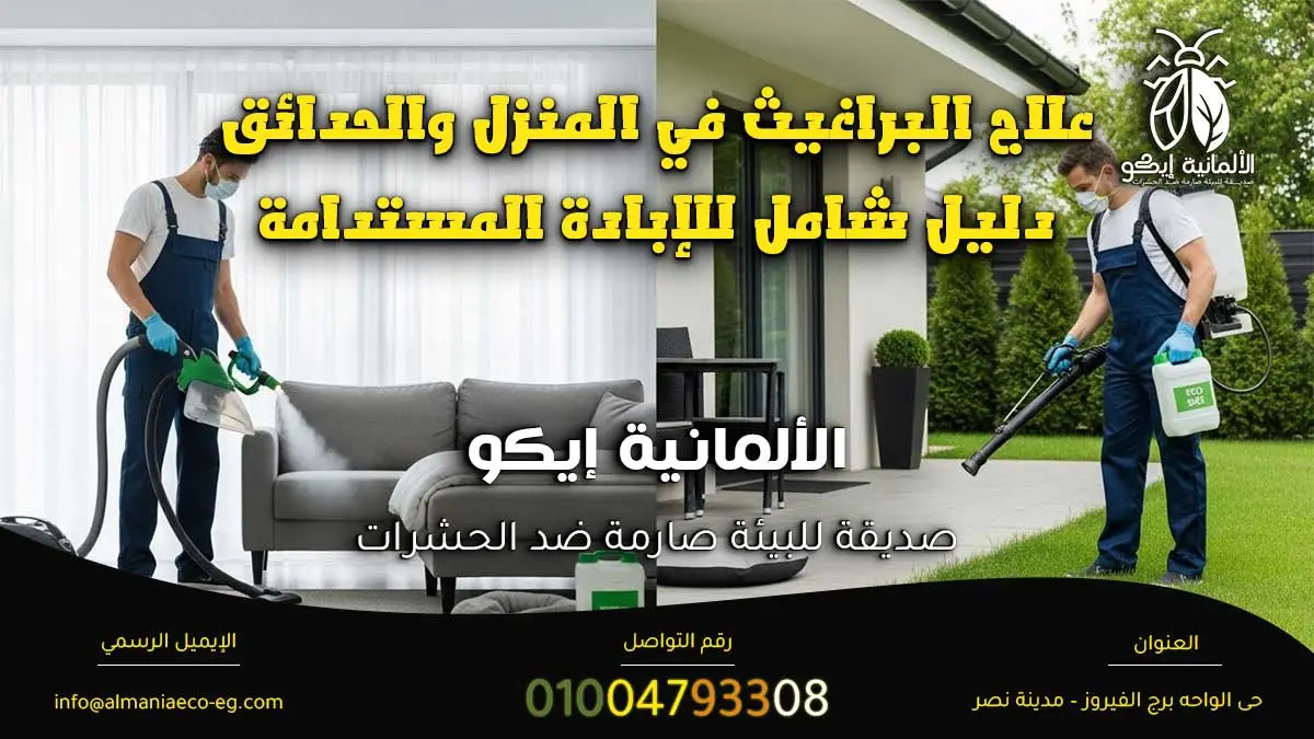 علاج البراغيث