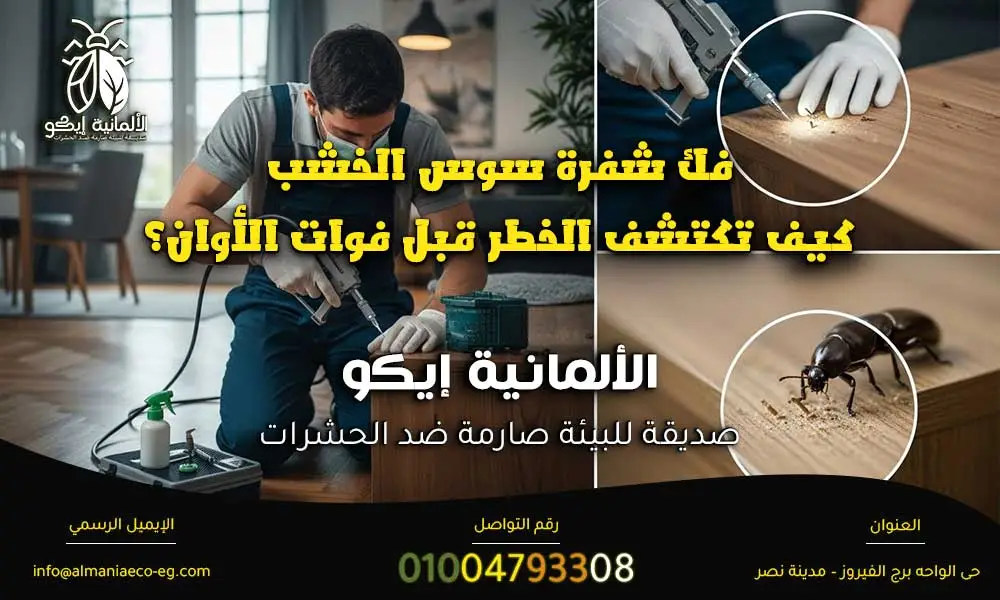 علاج سوس الخشب