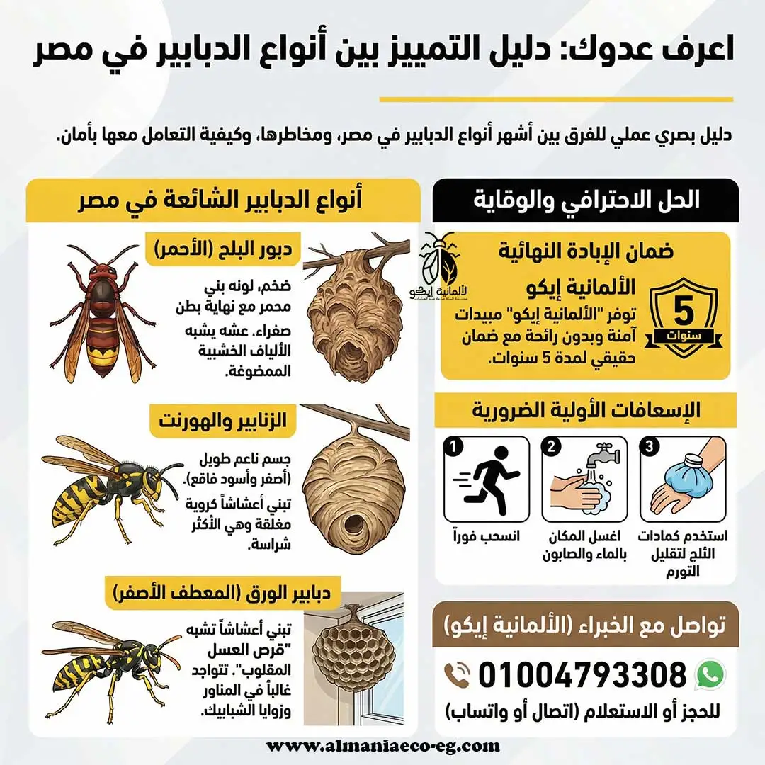 كيفية التخلص من عش الدبابير