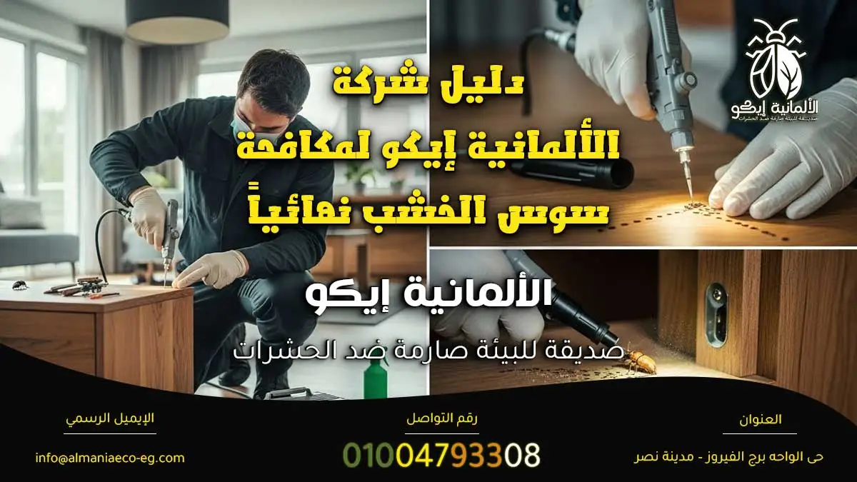 مكافحة سوس الخشب