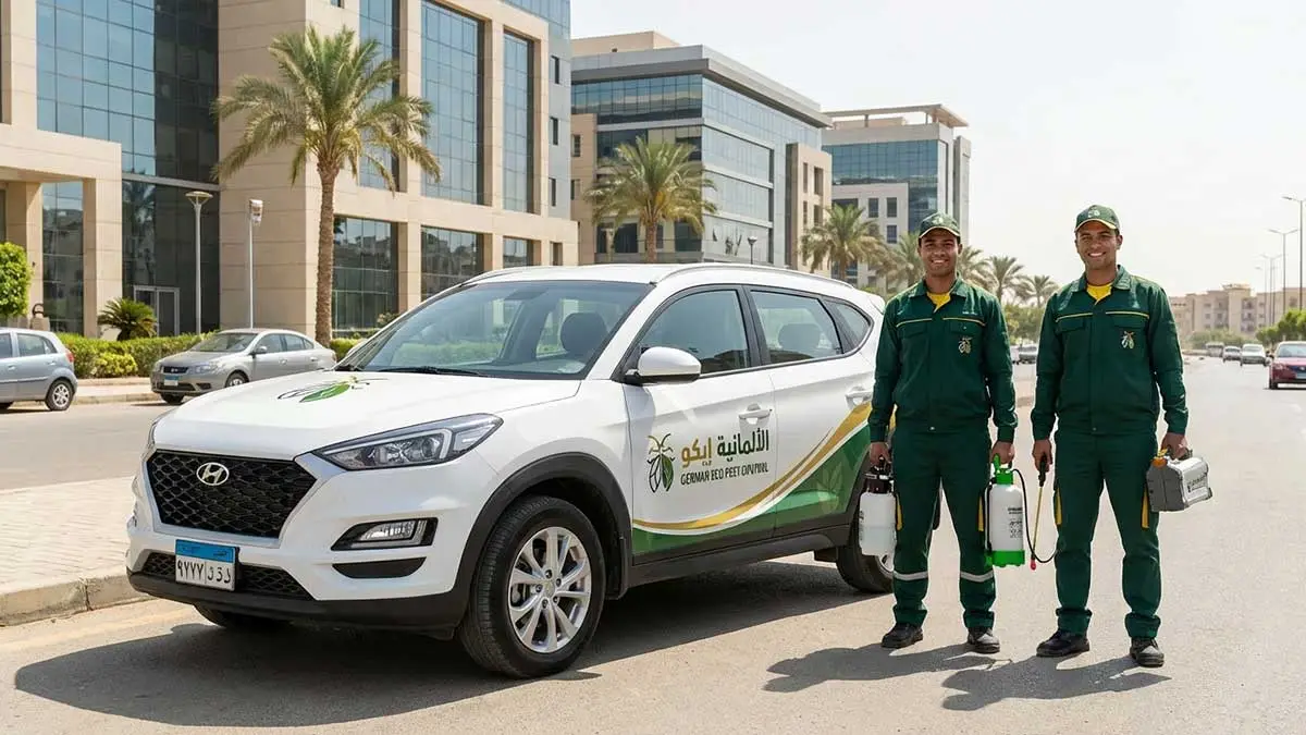 فريق الألمانية إيكو في شارع التسعين بالتجمع الخامس