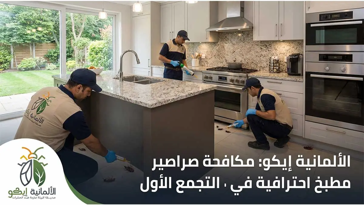 صراصير مطبخ تحتاج إلى مكافحة احترافية في التجمع الأول