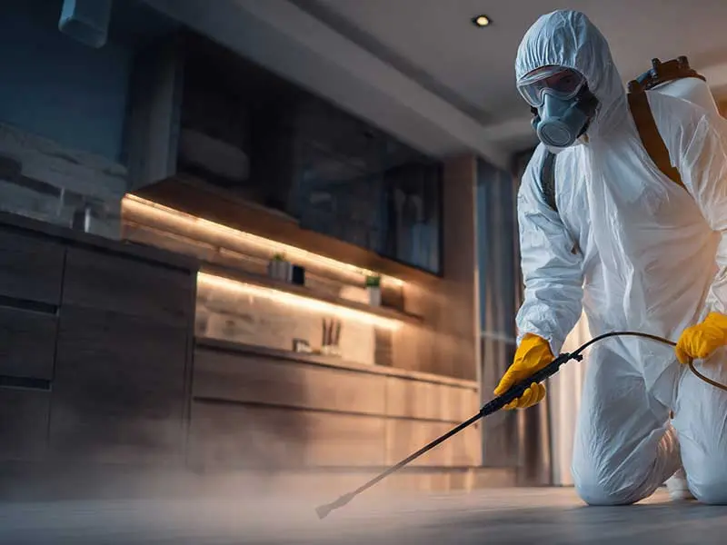 فريق الألمانية إيكو يطبق تقنية الحقن الميكروسكوبي في فيلا بالقطامية هايتس