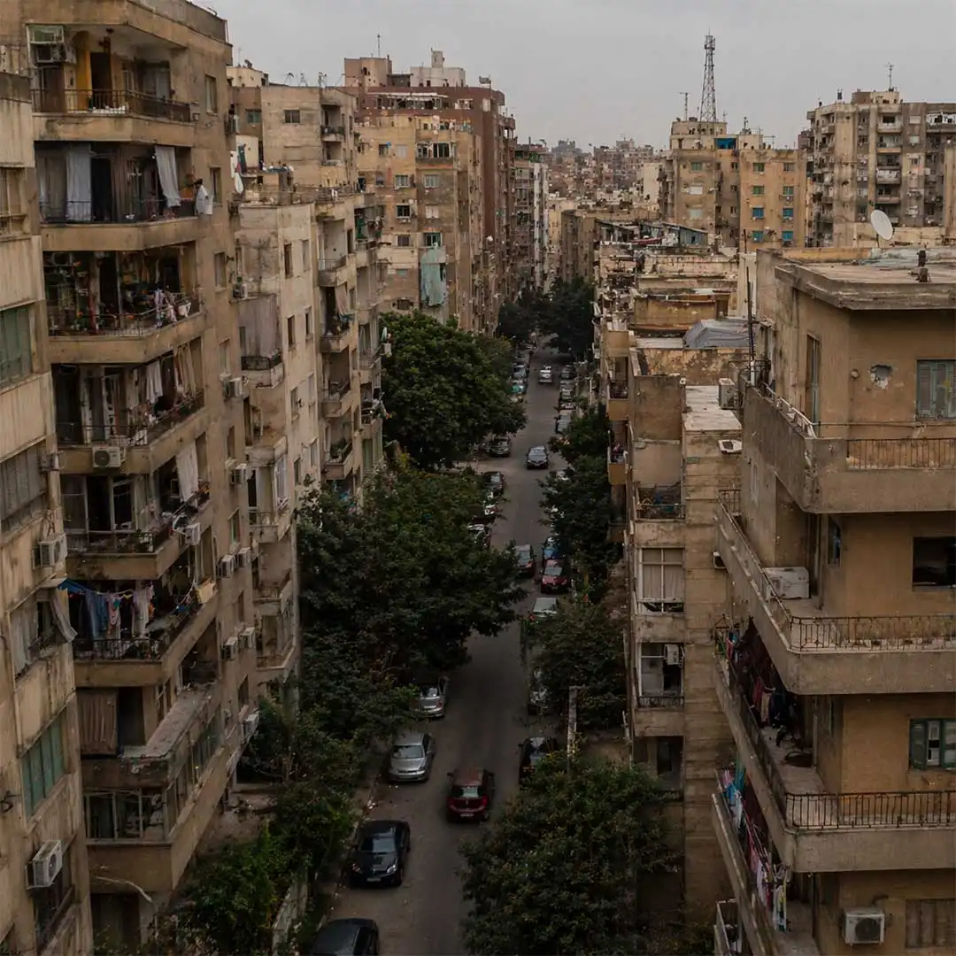 أسباب انتشار بق الفراش في مدينة الأمل مدينة نصر