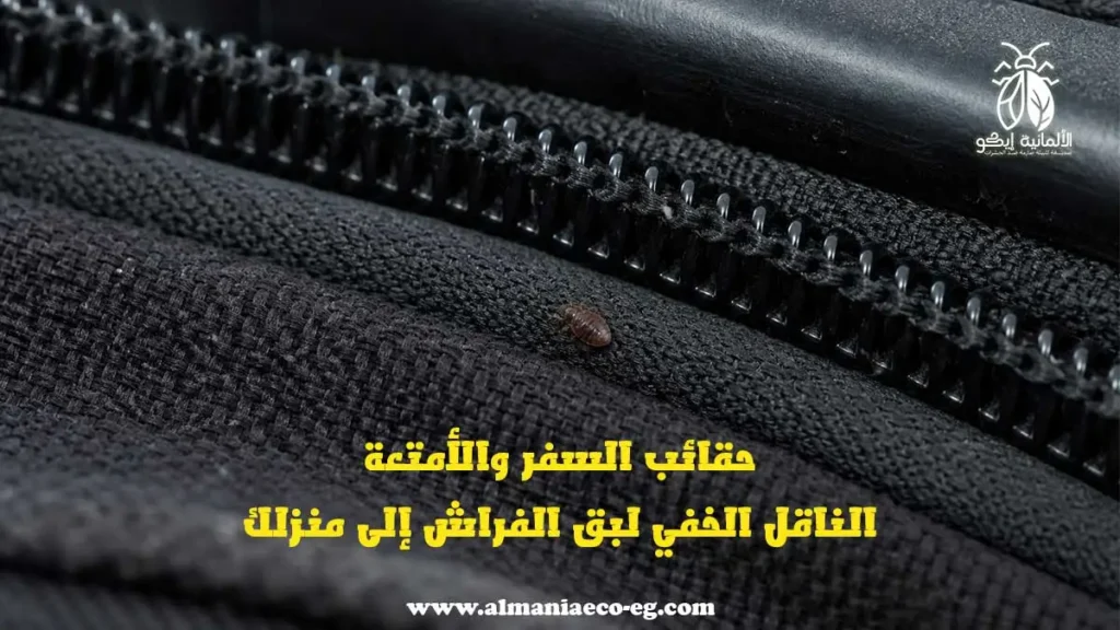 أسباب ظهور بق الفراش