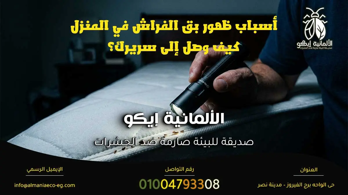 أسباب ظهور بق الفراش