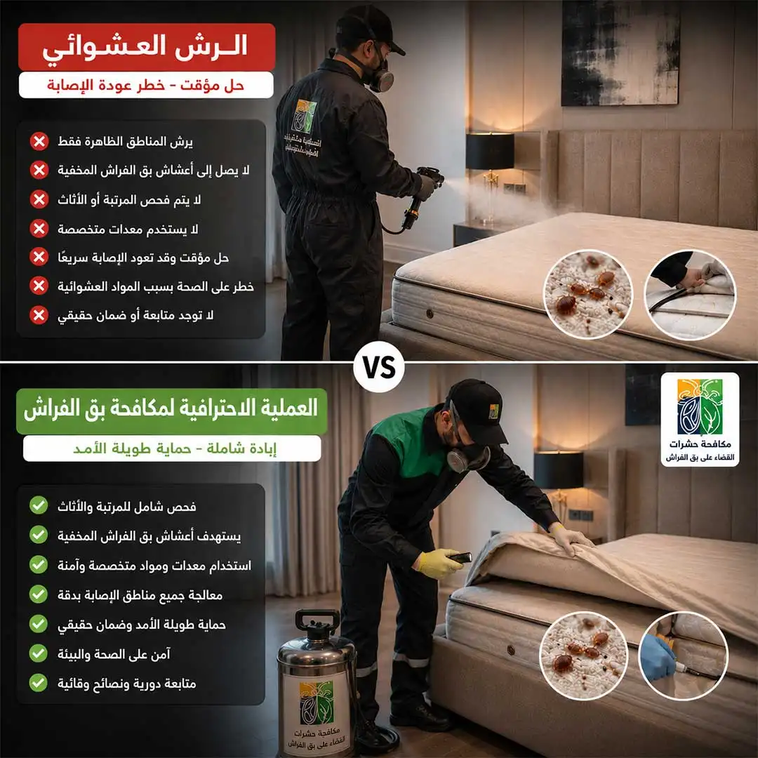 الفرق بين رش البق والإبادة الاحترافية داخل القاهرة الجديدة