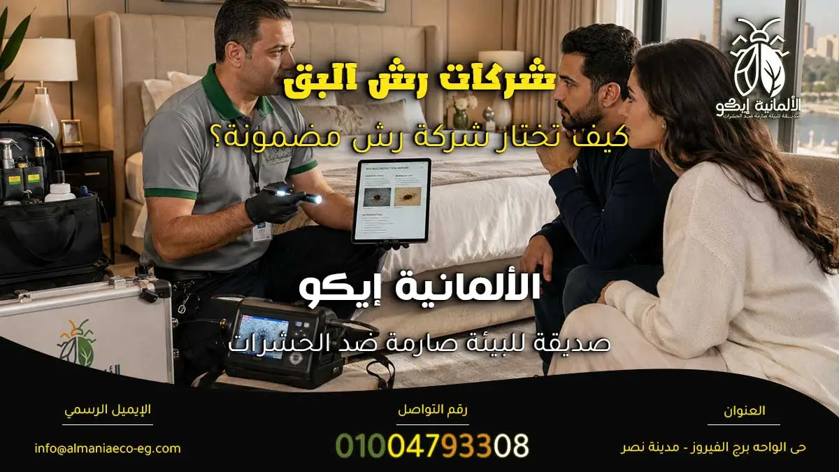 شركات رش البق أثناء فحص وعلاج بق الفراش داخل غرفة نوم حديثة
