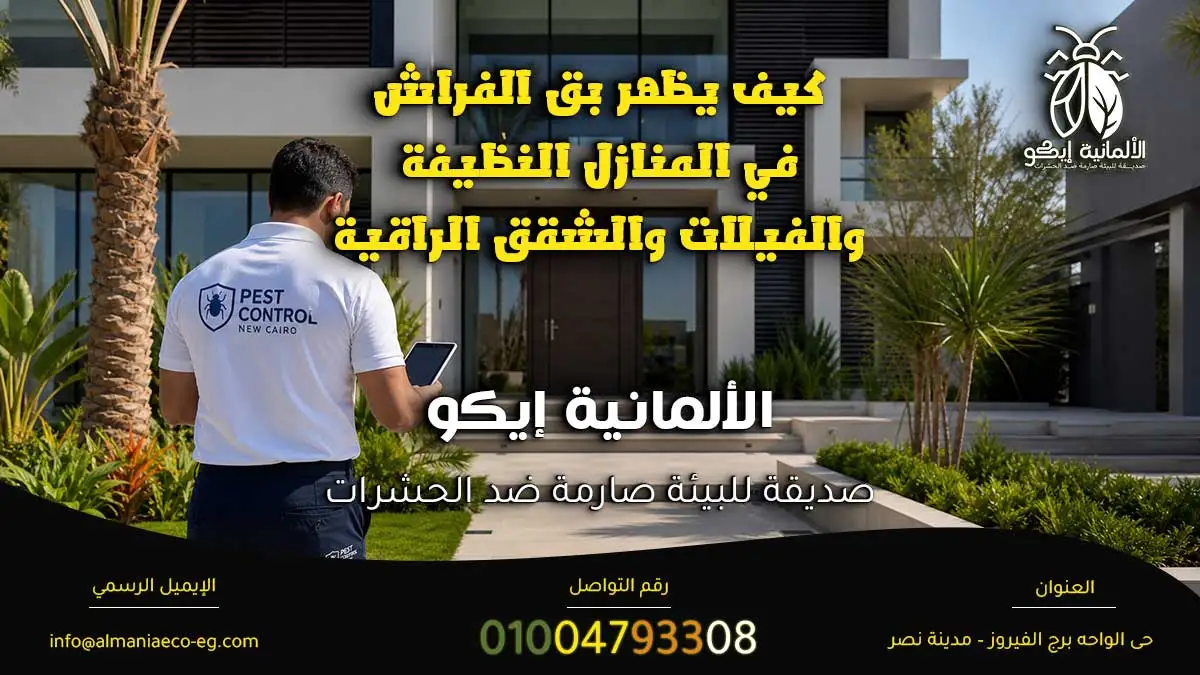 كيف يدخل بق الفراش إلى المنازل النظيفة