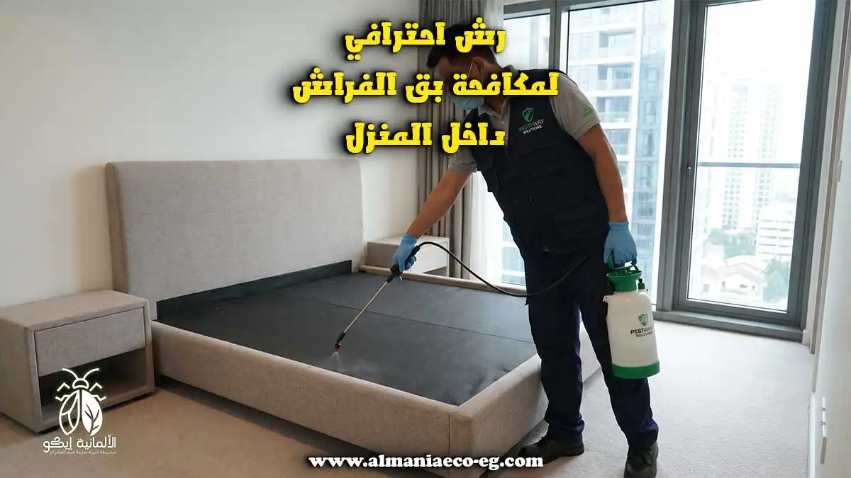 هل البق يرجع بعد الرش