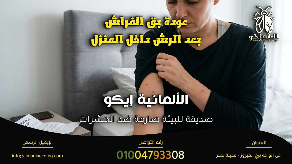 هل يعود البق بعد الرش
