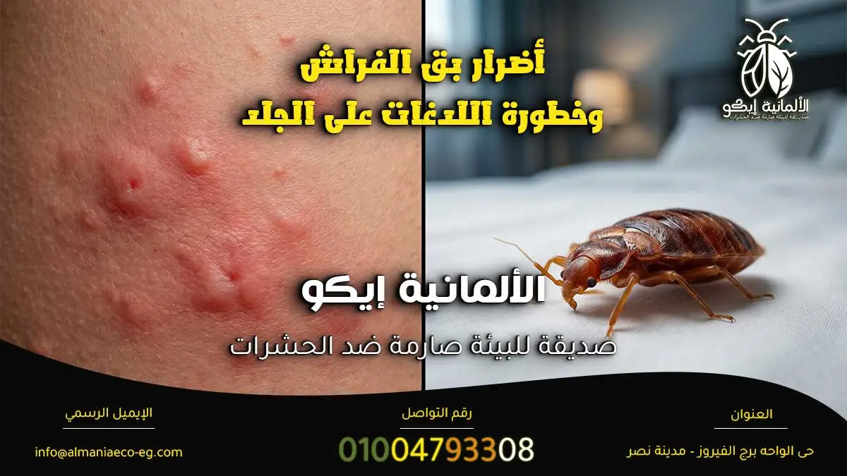 هل بق الفراش خطير