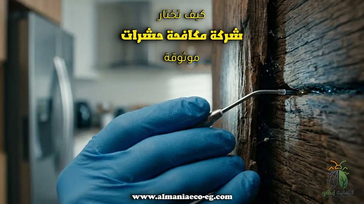 كيف تختار شركة مكافحة حشرات موثوقة.
