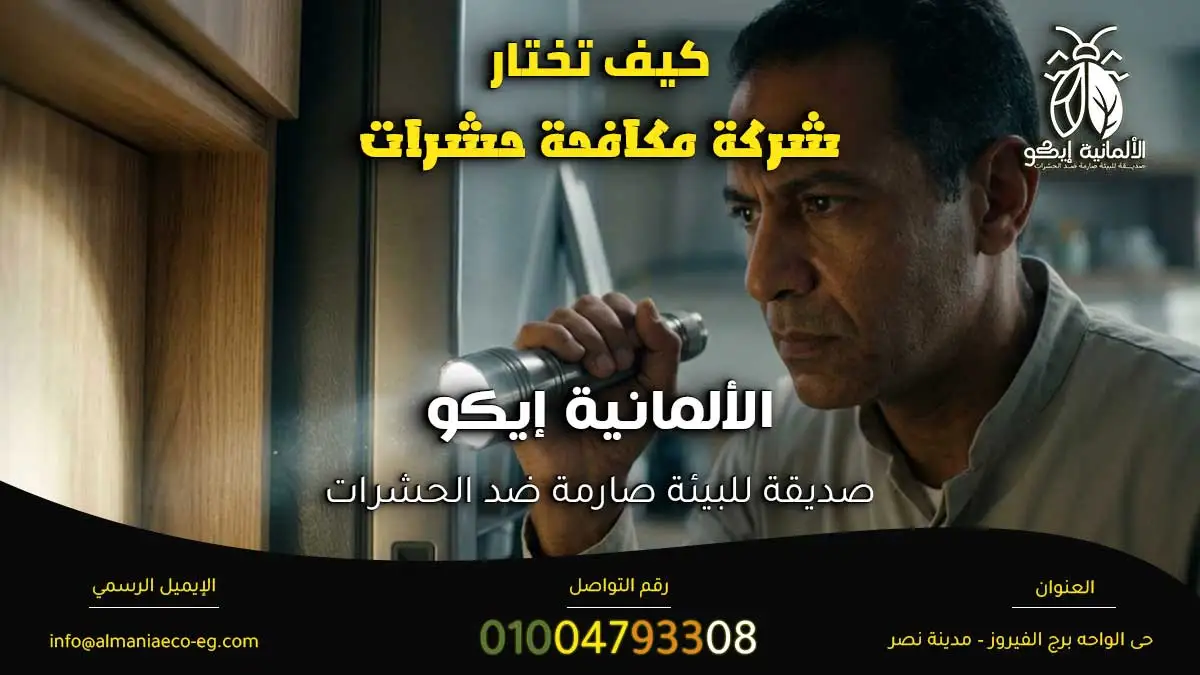 كيف تختار شركة مكافحة حشرات قبل التعاقد.