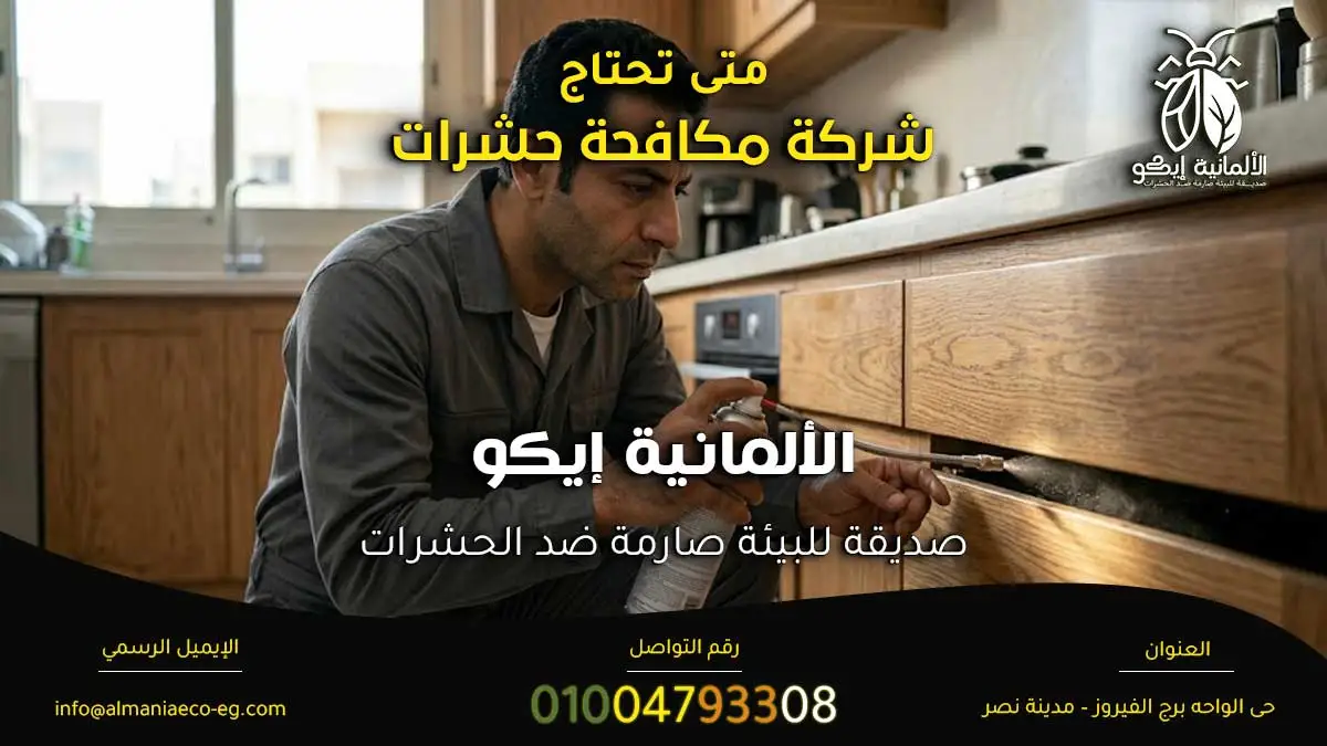متى تحتاج شركة مكافحة حشرات.