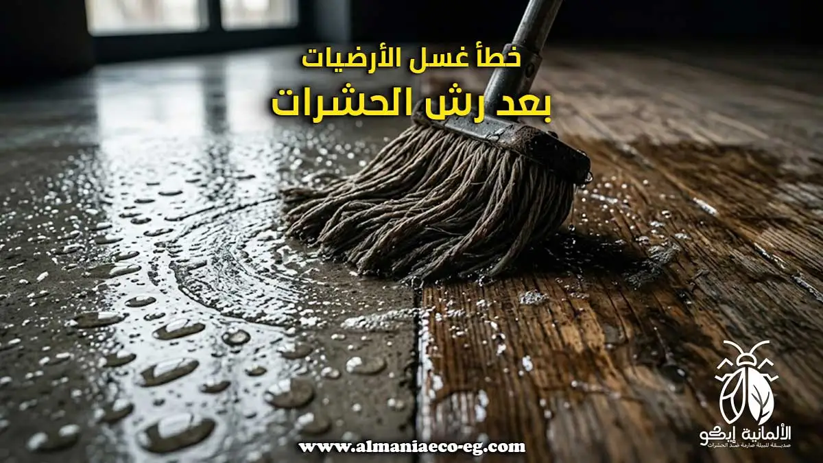 خطأ غسل الأرضيات بعد رش الحشرات.