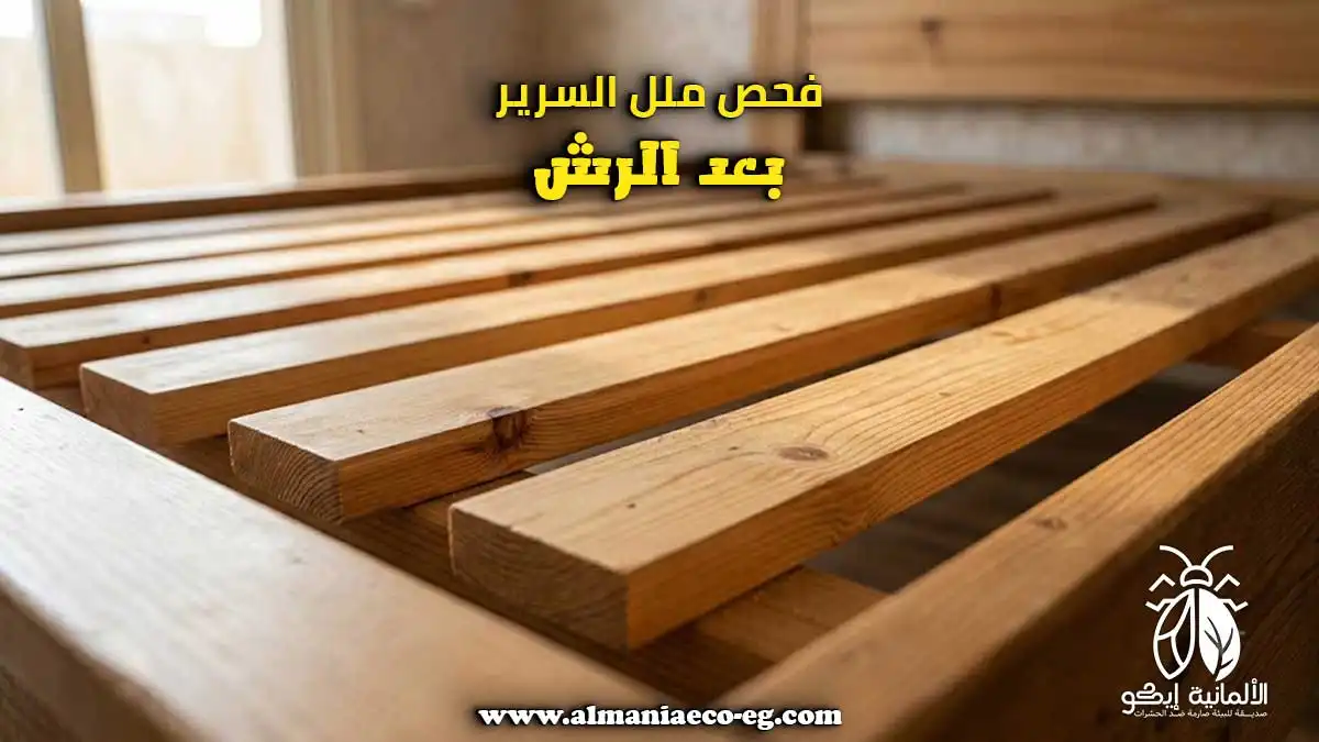 فحص ملل السرير بعد الرش.