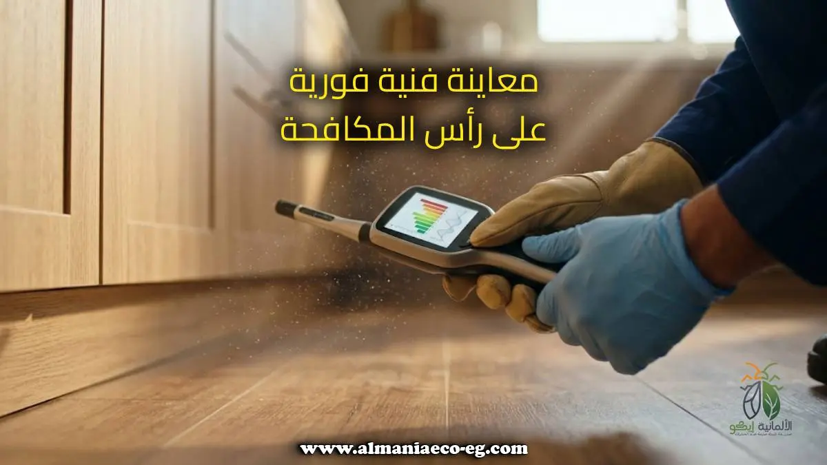 معاينة فنية فورية على رأس المكافحة.