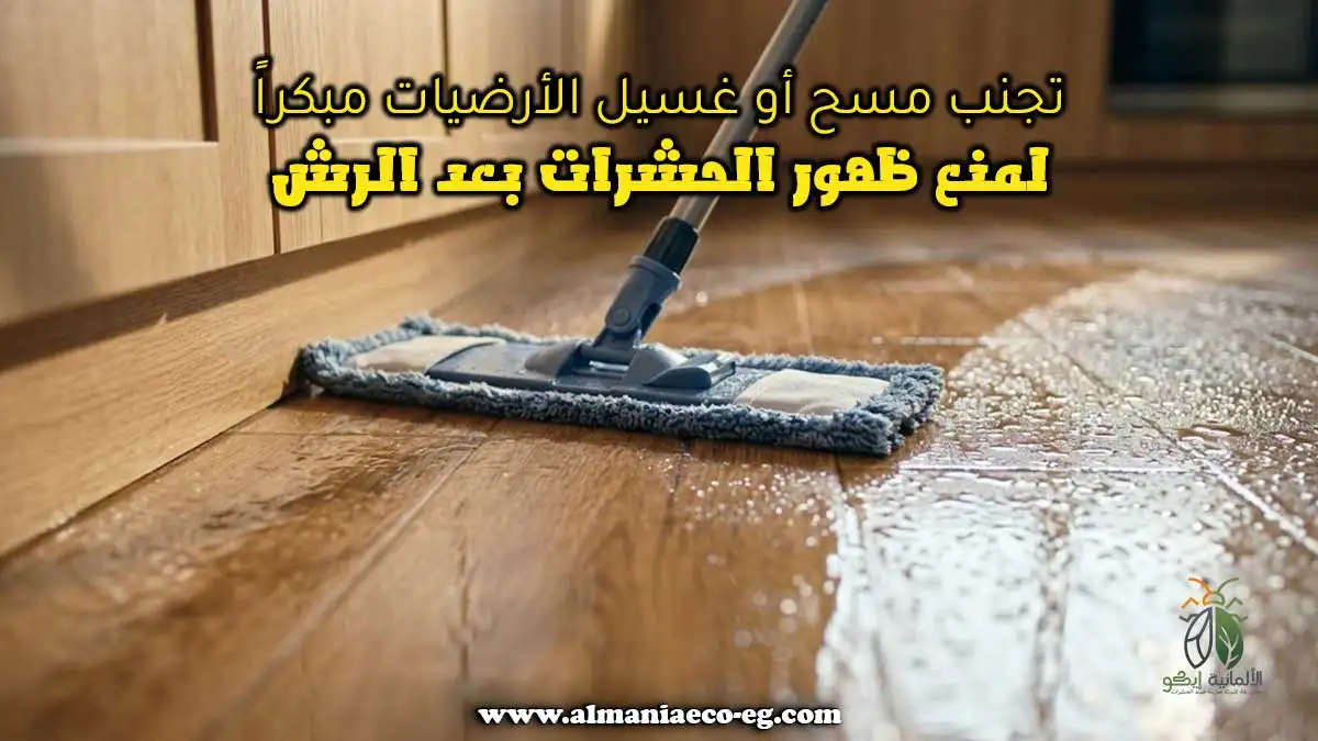 تجنب مسح أو غسيل الأرضيات مبكراً لمنع ظهور الحشرات بعد الرش.