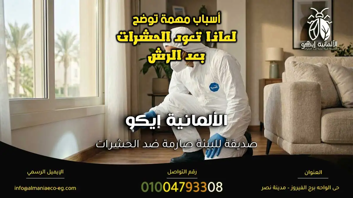 أسباب مهمة توضح لماذا تعود الحشرات بعد الرش في المنازل.