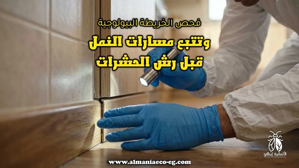 فحص الخريطة البيولوجية وتتبع مسارات النمل قبل رش الحشرات.