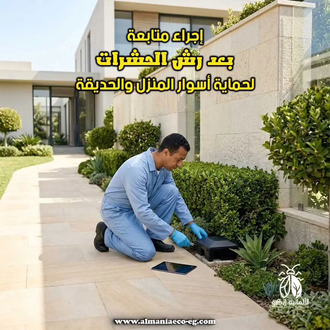 إجراء متابعة بعد رش الحشرات لحماية أسوار المنزل والحديقة.