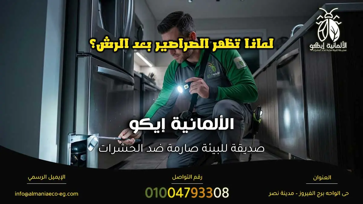 لماذا تظهر الصراصير بعد الرش؟ أثناء فحص موقع الإصابة.
