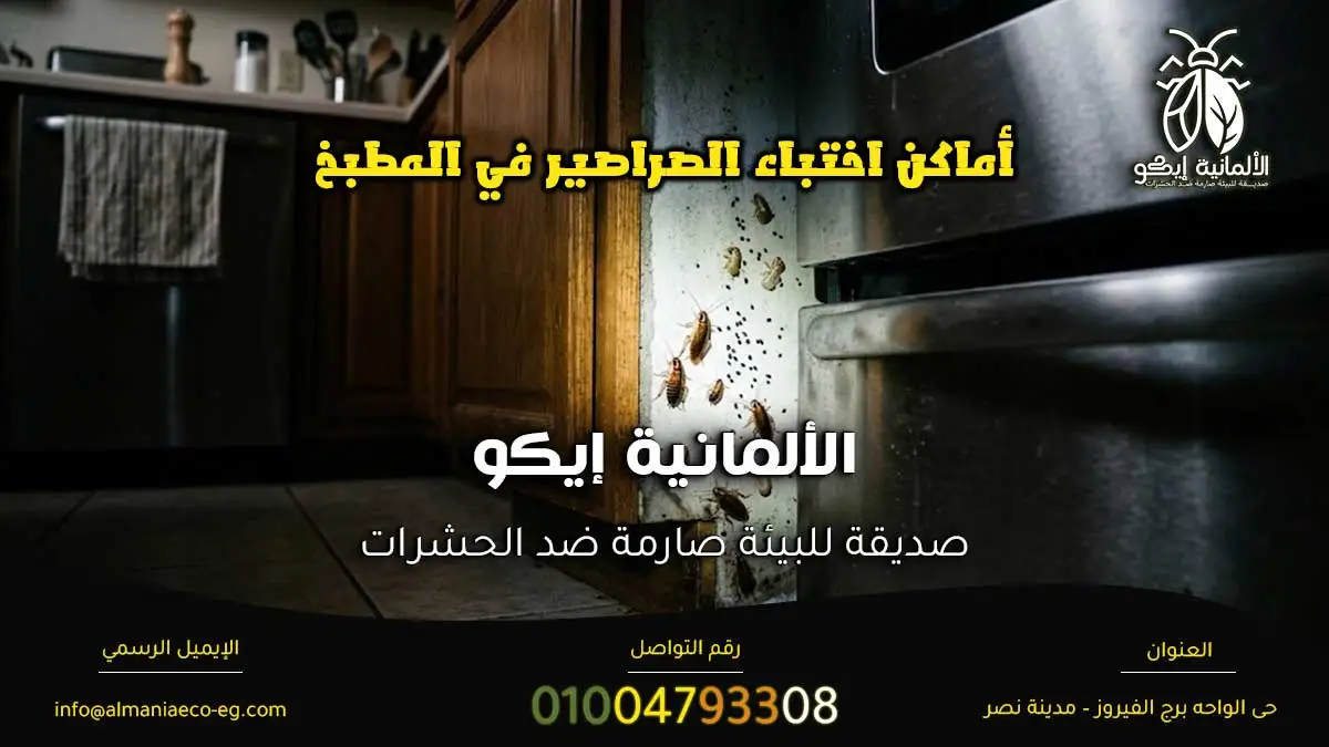 أماكن اختباء الصراصير في المطبخ أثناء فحص موقع الإصابة.