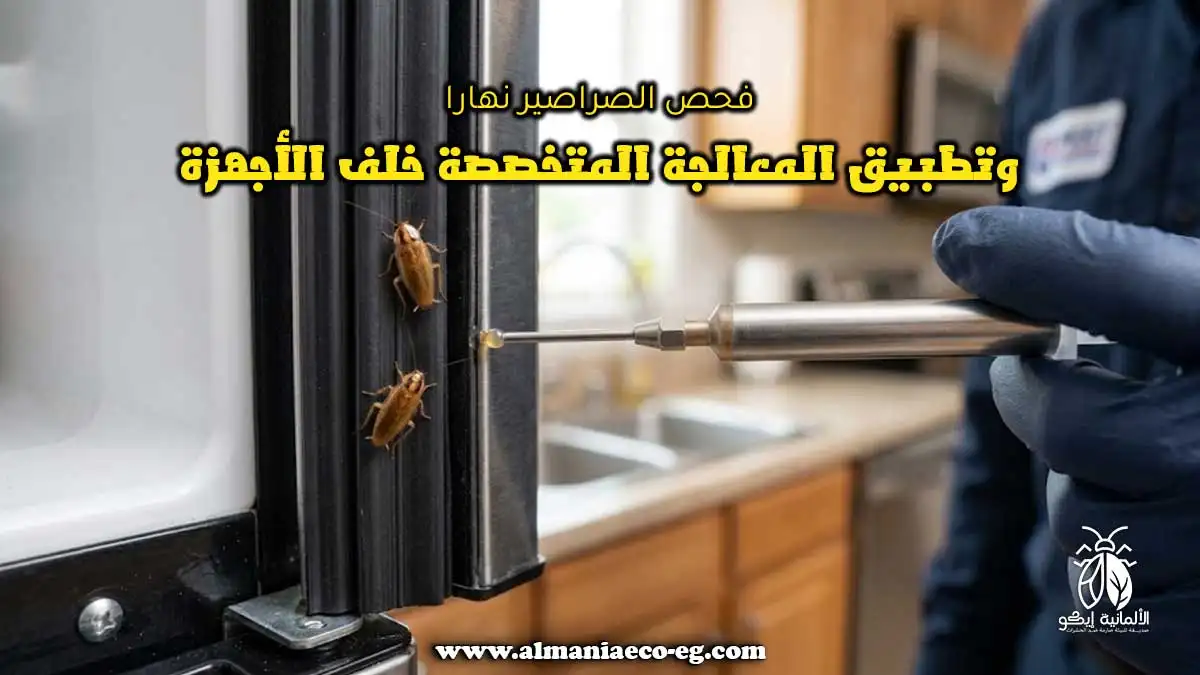 فحص الصراصير نهارا وتطبيق المعالجة المتخصصة خلف الأجهزة