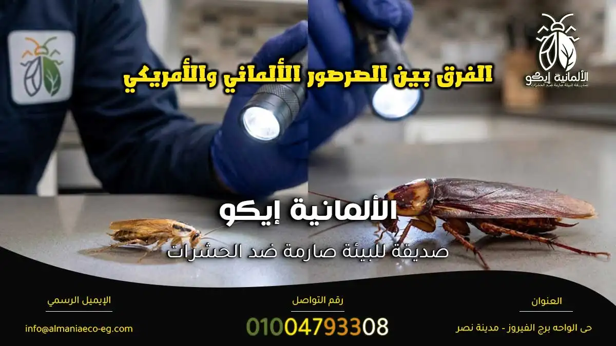 الفرق بين الصرصور الألماني والأمريكي أثناء فحص موقع الإصابة