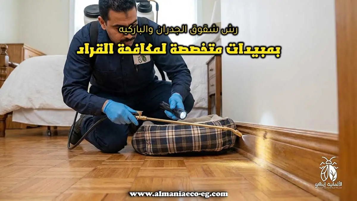 رش شقوق الجدران والباركيه بمبيدات متخصصة لمكافحة القراد