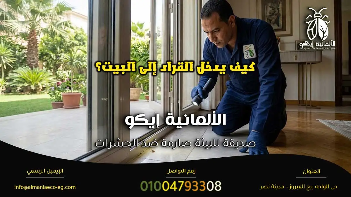كيف يدخل القراد إلى البيت؟ أثناء فحص موقع الإصابة