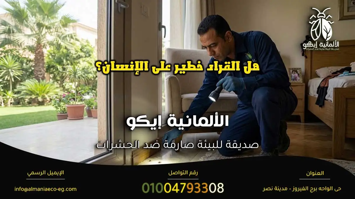 هل القراد خطير على الإنسان؟ أثناء فحص موقع الإصابة