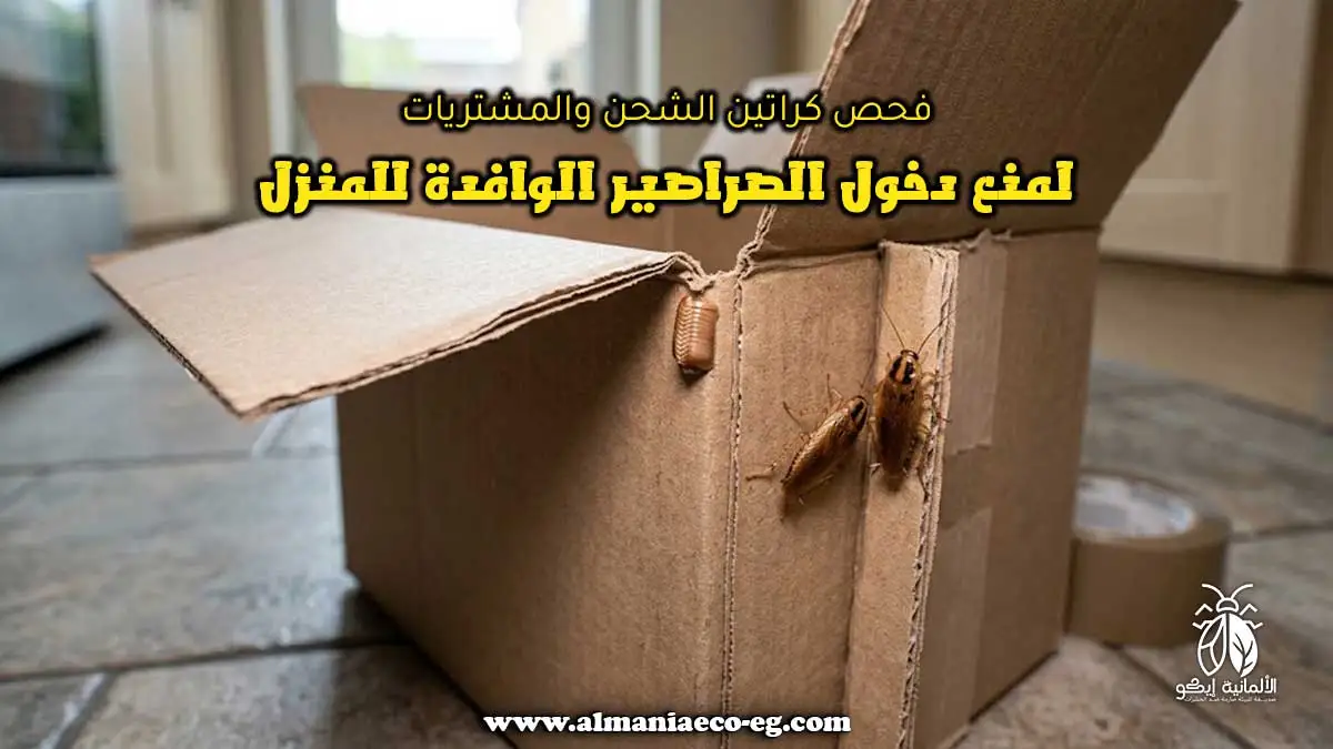 فحص كراتين الشحن والمشتريات لمنع دخول الصراصير الوافدة للمنزل