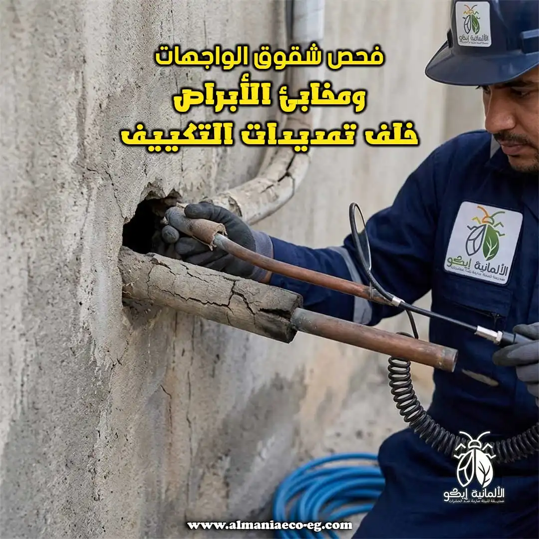 فحص شقوق الواجهات ومخابئ الأبراص خلف تمديدات التكييف